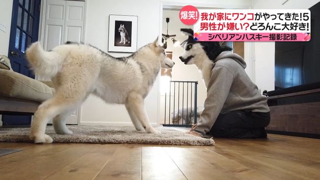 我が家にワンちゃんがやってきた５