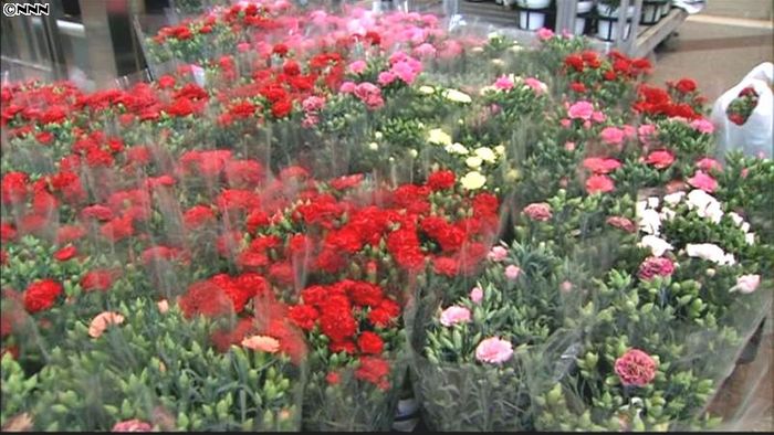 母の日 福島産カーネーションなどの即売会
