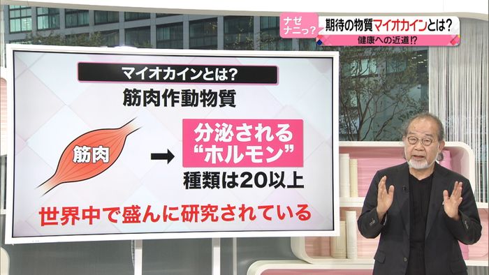 健康への近道?期待の物質マイオカインとは