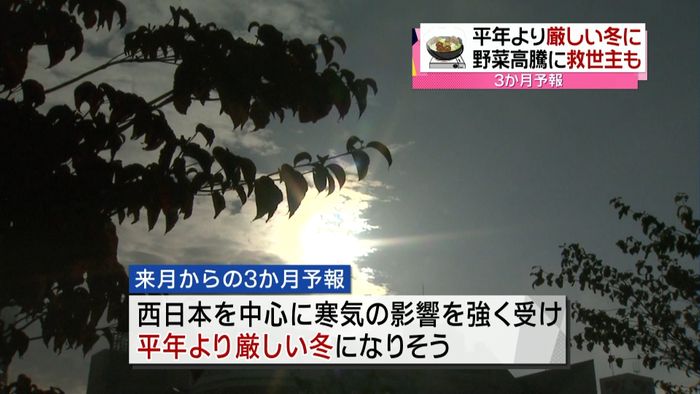 ３か月予報　西日本では平年より厳しい冬に