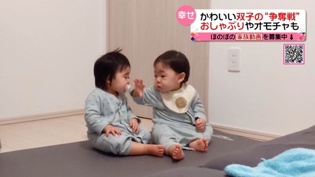 かわいい双子の おしゃぶり争奪戦