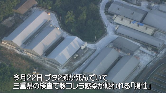 三重の養豚場で初の豚コレラ 4千頭殺処分