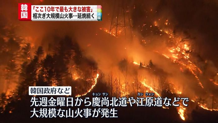韓国で大規模山火事相次ぐ「ここ10年で最も大きな被害」