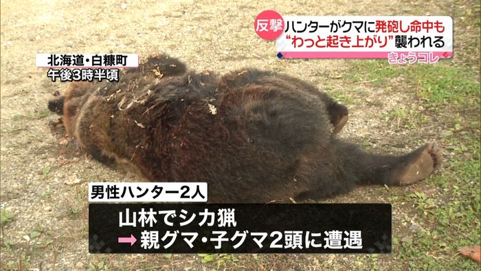 死んだはずのクマが反撃…ハンターがケガ