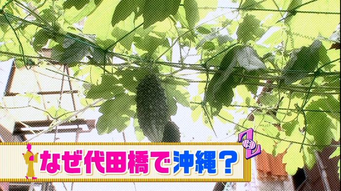 都内でディープな“沖縄”体験!?