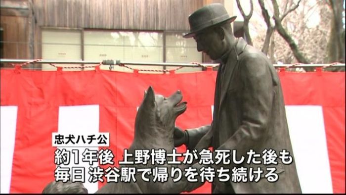 ハチ公の新銅像 東大農学部キャンパスに