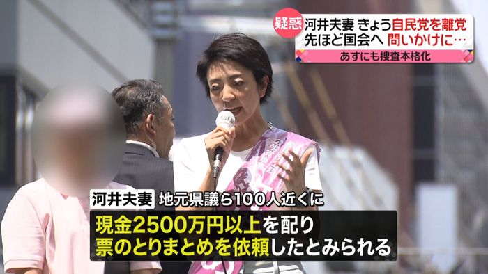 河井夫妻が離党へ 議員辞職はしない意向
