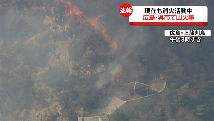 呉市で山火事　５０００平方ｍ燃える