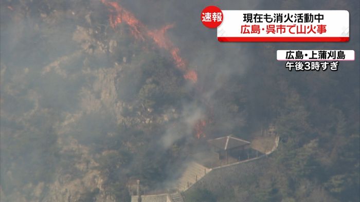 呉市で山火事 5000平方m燃える