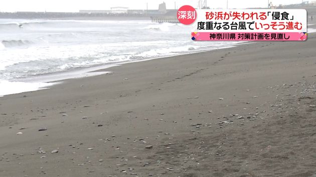 砂浜が消える 想定外に速く 侵食 進む訳