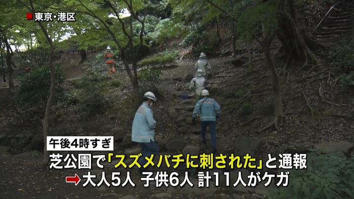 芝公園でスズメバチに刺され11人がケガ