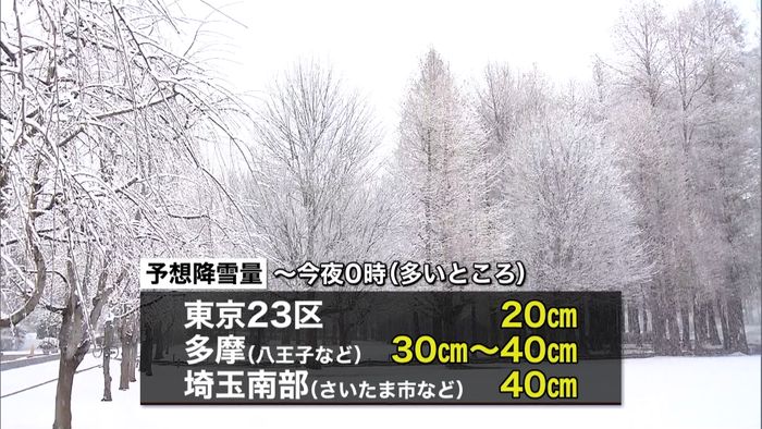 大雪 八王子などで最大40cmの予想も