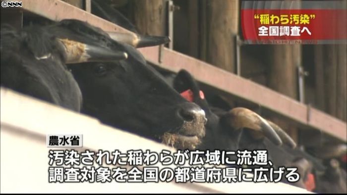 稲わら汚染、全国調査へ~農水省