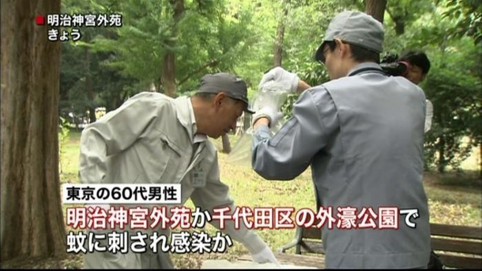 デング熱 明治神宮外苑か外濠公園で感染か