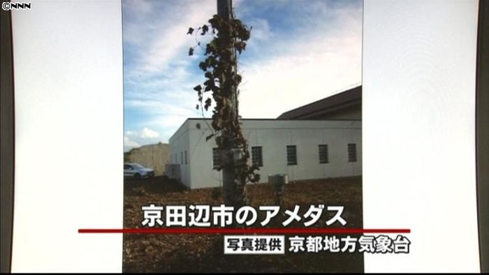 京田辺市の39.9℃は幻?計器に大量の草