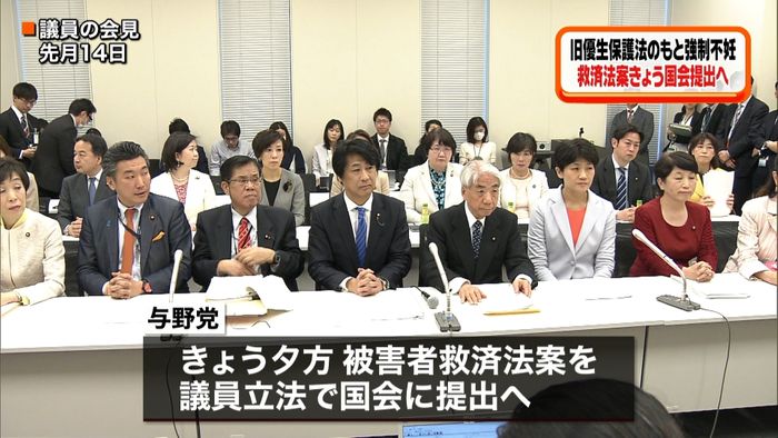 “強制不妊手術”救済法案を国会に提出へ