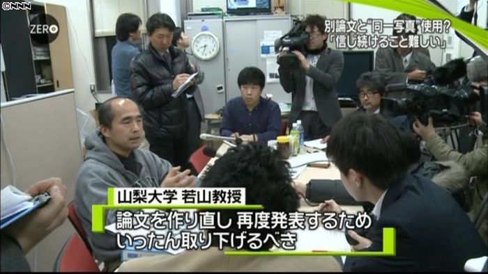論文を取り下げを~STAP細胞共同研究者