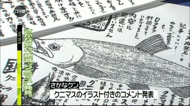 幻の魚 クニマス さかなクンが発見