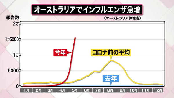 京都议定书