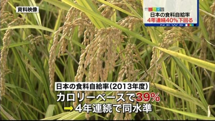 日本の食料自給率、４年連続で４０％下回る