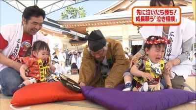 赤ちゃんの成長願う 泣き相撲 開催 広島