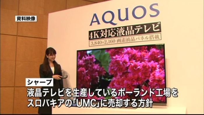 シャープ 欧州でのテレビ生産から撤退へ