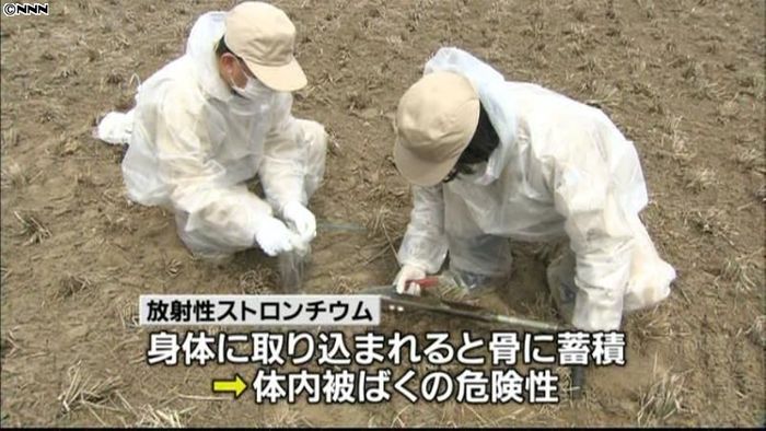 放射性ストロンチウム、福島の土壌から検出