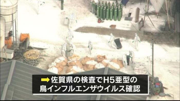 佐賀県で初の鳥インフル確認 殺処分始まる