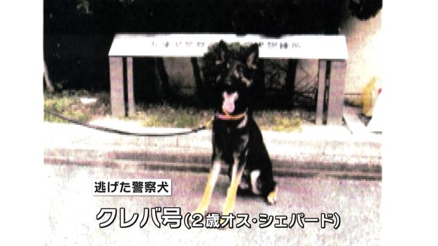 不明者捜索の警察犬が逃げる 兵庫県福崎町