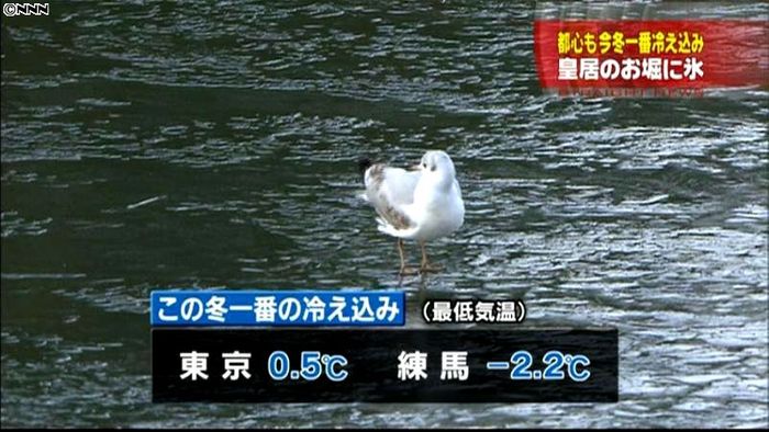 全国的に今冬一番の寒さ、都内で氷点下観測