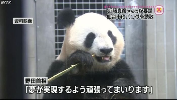 仙台にパンダを…近藤真彦さんら首相に要請