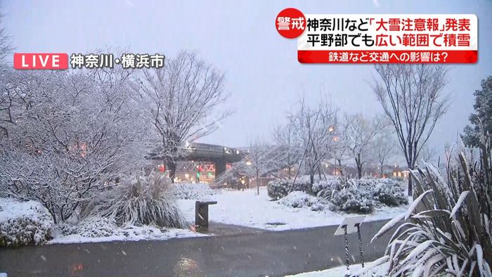 神奈川県でも雪降り続く　横浜市から中継