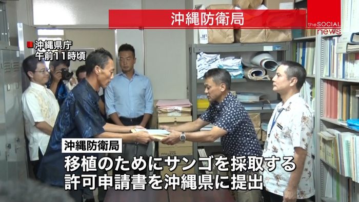 沖縄防衛局 辺野古のサンゴ移植許可を申請