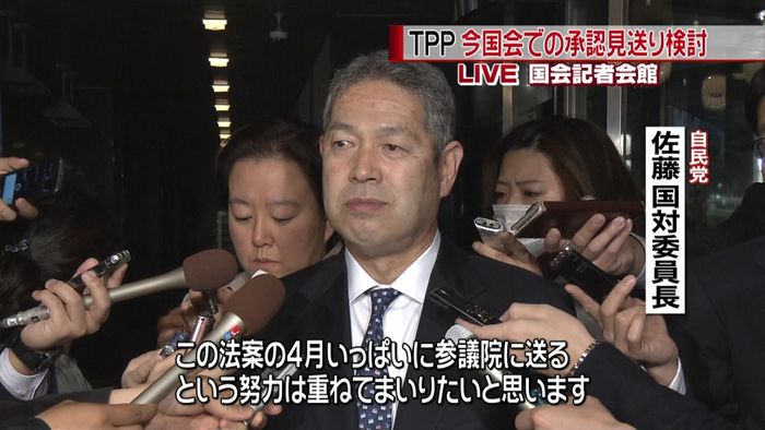 TPP 今国会での“承認見送り”も検討