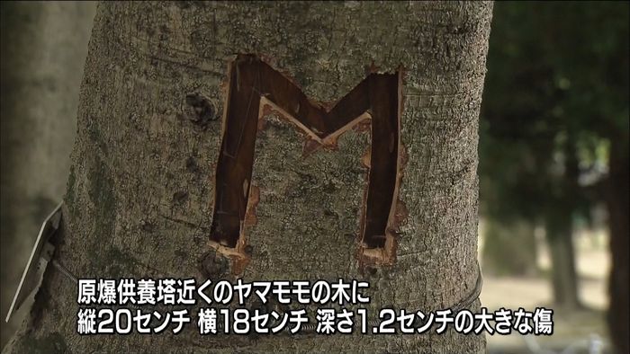 広島・平和公園の木にまた…大きな傷が
