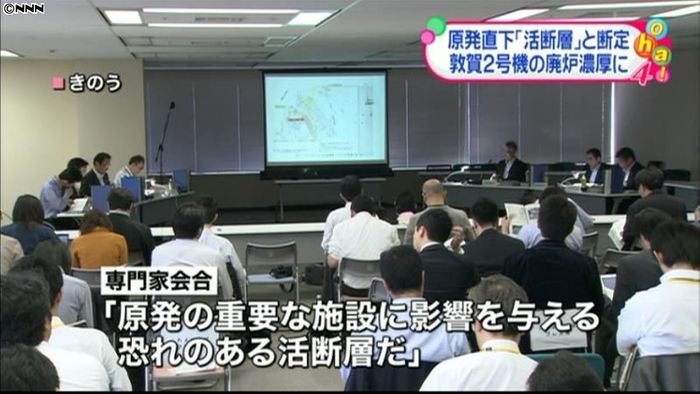 敦賀原発2号機下に「活断層」…規制委報告