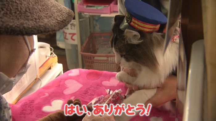 ネコの名誉駅長「らぶ」チョコをプレゼント