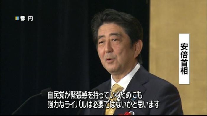 民主党、強力なリーダー誕生に期待~首相