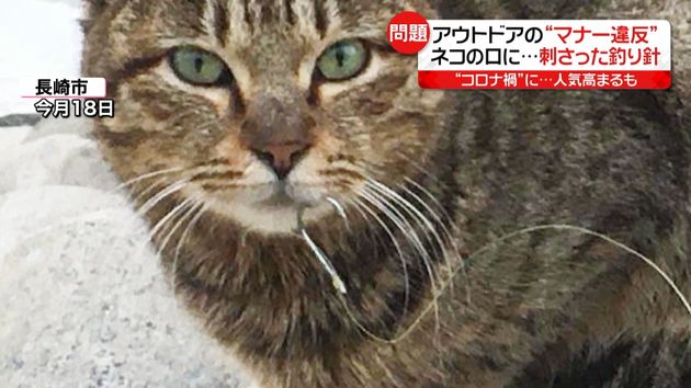 釣り針 焚き逃げ アウトドアでマナー違反 釣り針 焚き逃げ アウトドアでマナー違反