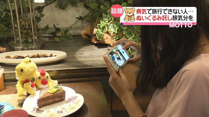 【ぬい撮り】にハマるワケ、ビジネスにも