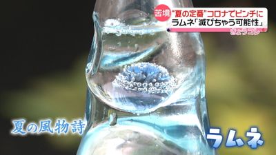 滅びる可能性も 夏の定番 コロナ禍で 滅びる可能性も 夏の定番 コロナ禍で