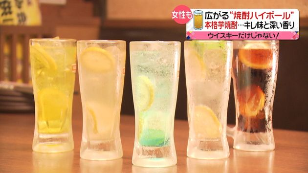 人気復活なるか 広がる 焼酎ハイボール