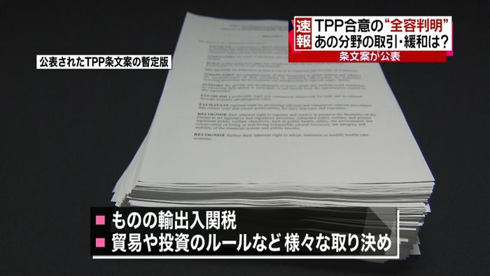 TPP参加12か国 条文案公表で全容判明