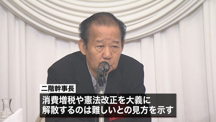 消費税や改憲で衆院解散は難しい~二階氏