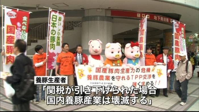 養豚生産者ら、豚肉関税引き下げ反対訴える