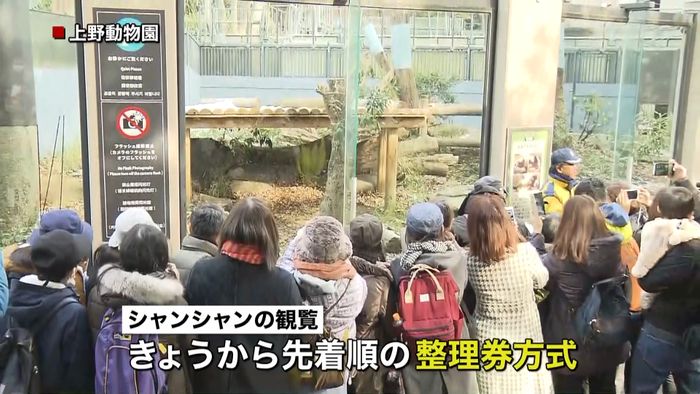 早朝から行列…シャンシャン観覧が先着順に