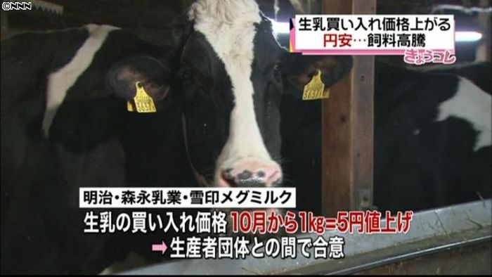 生乳値上げへ…飼料価格高騰が要因