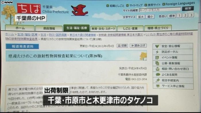 千葉のタケノコなどを出荷制限 新基準で初