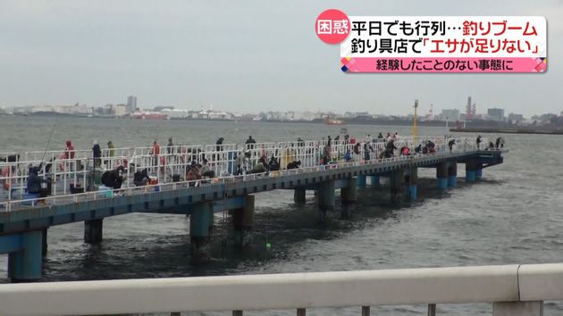 空前の釣りブーム で思わぬ事態招く 空前の釣りブーム で思わぬ事態招く