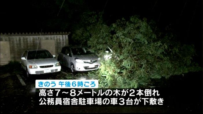 倒木で車３台下敷き　強風の影響か　小樽市